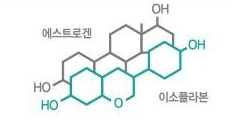 회색 선의 에스트로겐 고리 구조와 청록 선의 이소플라본 고리 구조를 겹쳐 그린 구조식