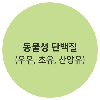 동물성 단백질 (우유, 초유, 산양유)