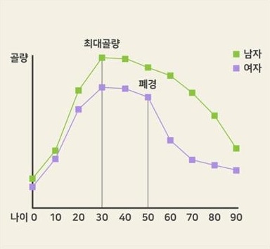 연령과 칼슘 섭취에 따른 골질량 변화 선 그래프. 세로축 골량, 가로축 나이 0·10·20·30·40·50·60·70·80·90, 범례 남자(초록) · 여자(보라). 30세 무렵 최대골량, 여자는 50세 폐경 뒤 크게 떨어진다는 표지