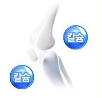 무릎 뼈 그림과 칼슘 방울 둘