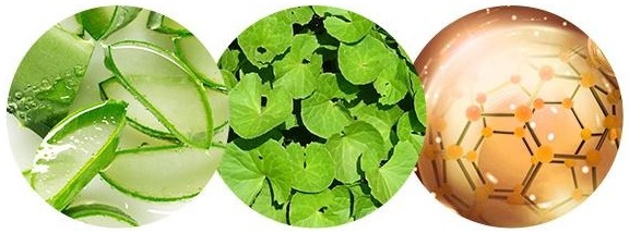 겹친 원 사진 셋 — 물방울 맺힌 자른 알로에 잎, 초록 병풀 잎, 금빛 분자 구조(엑토인)